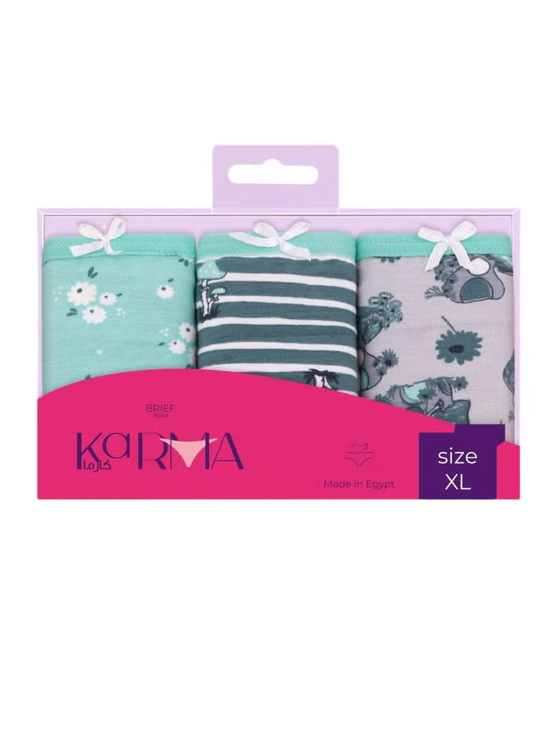 Karma® Women Briefs (Thin Waistband) 3-Pack Printed Designs